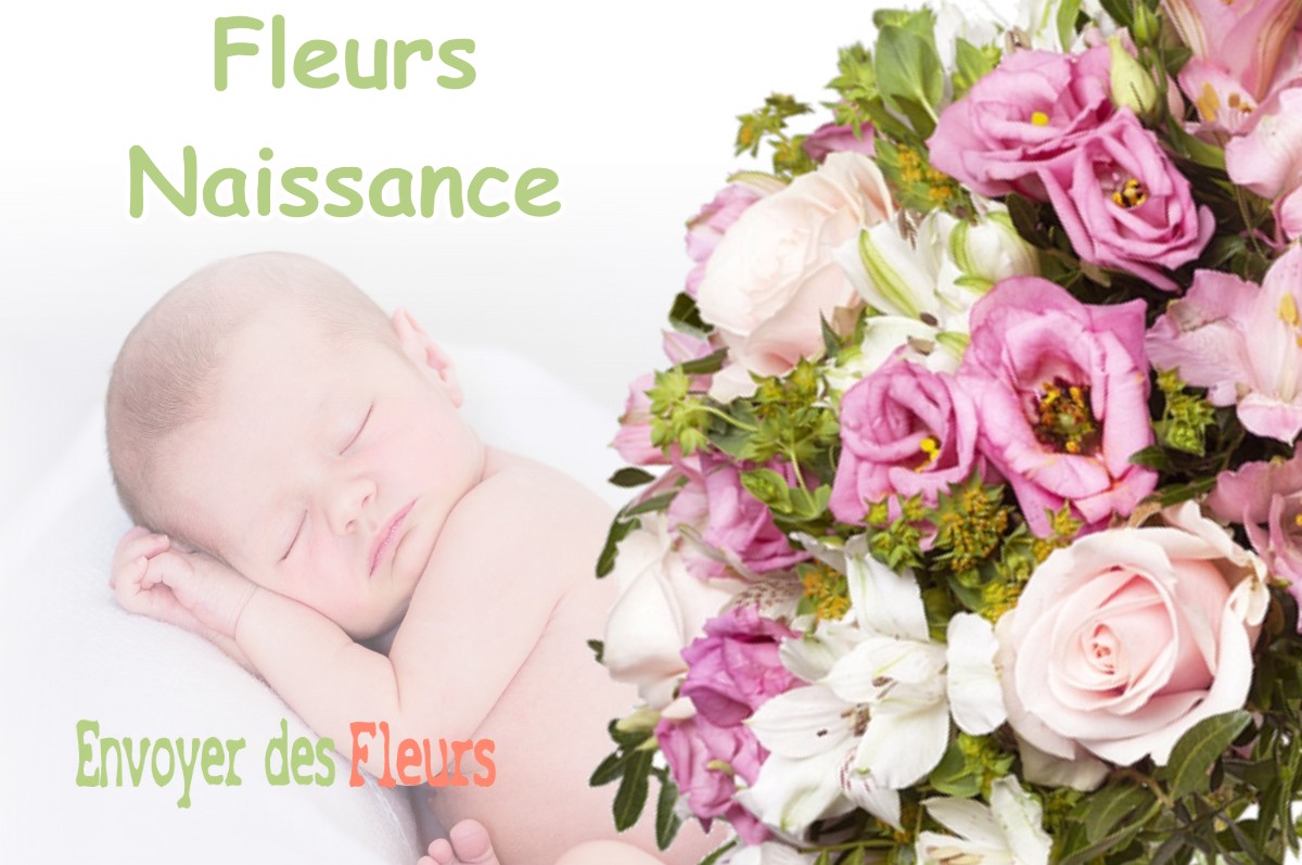 lIVRAISON FLEURS NAISSANCE à SAINT-JOSEPH-DE-RIVIERE